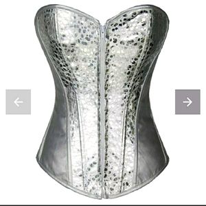Silver sparkle corset